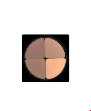 سایه چشم 4 رنگ Luxury Coin(کد601)